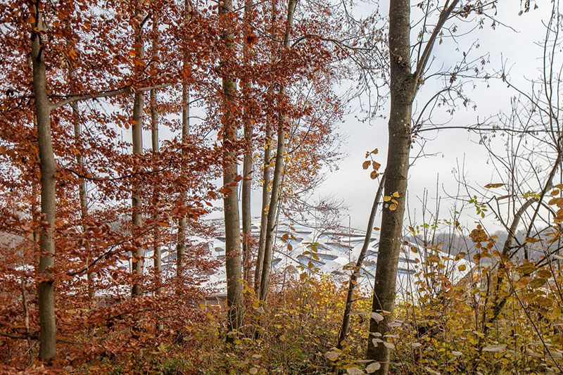 etfe膜結(jié)構(gòu) etfe膜結(jié)構(gòu)