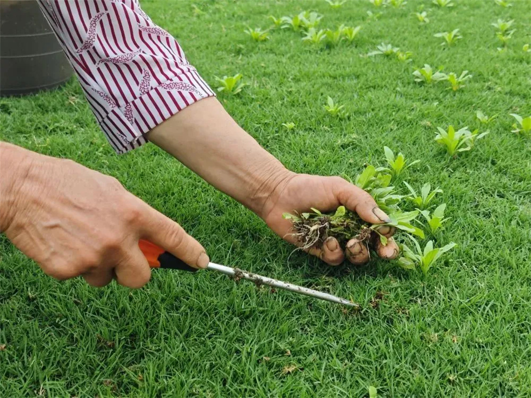 萬豪集團(tuán)匠心助力，6月齊聚重慶龍興足球場(chǎng)為國(guó)足吶喊助威！