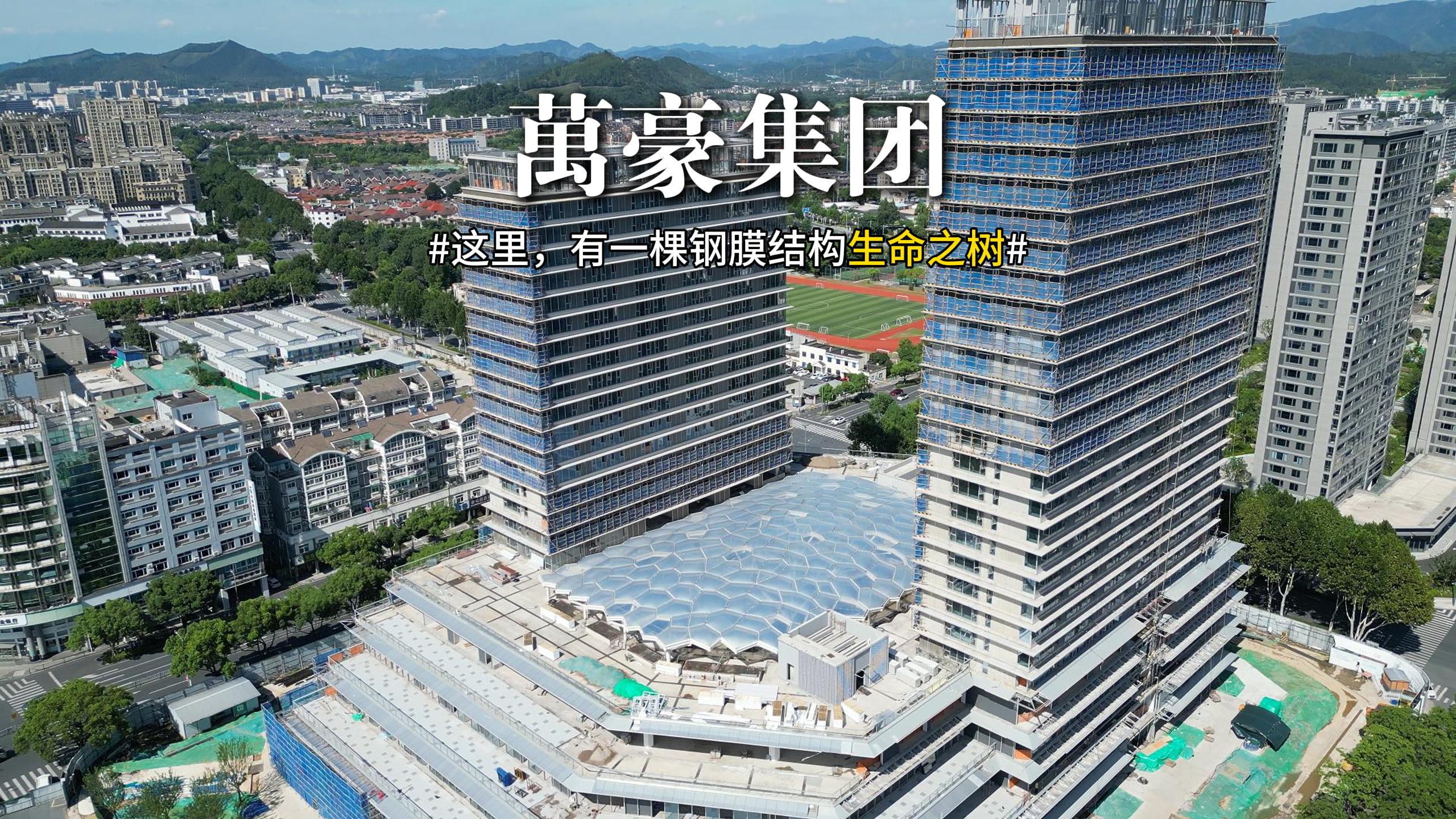 鋼膜結(jié)構(gòu)組成的生命之樹